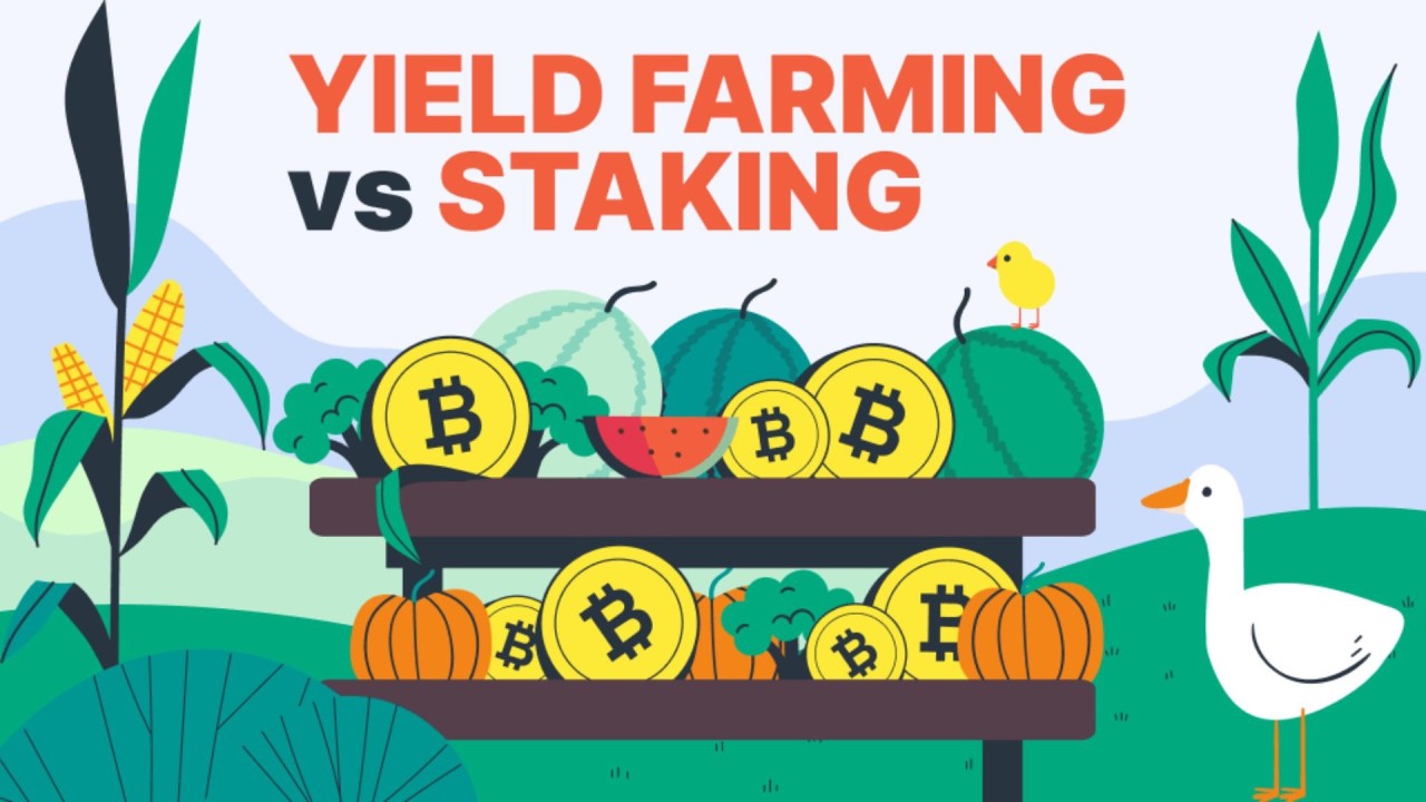 Explore Staking and Yield Farming